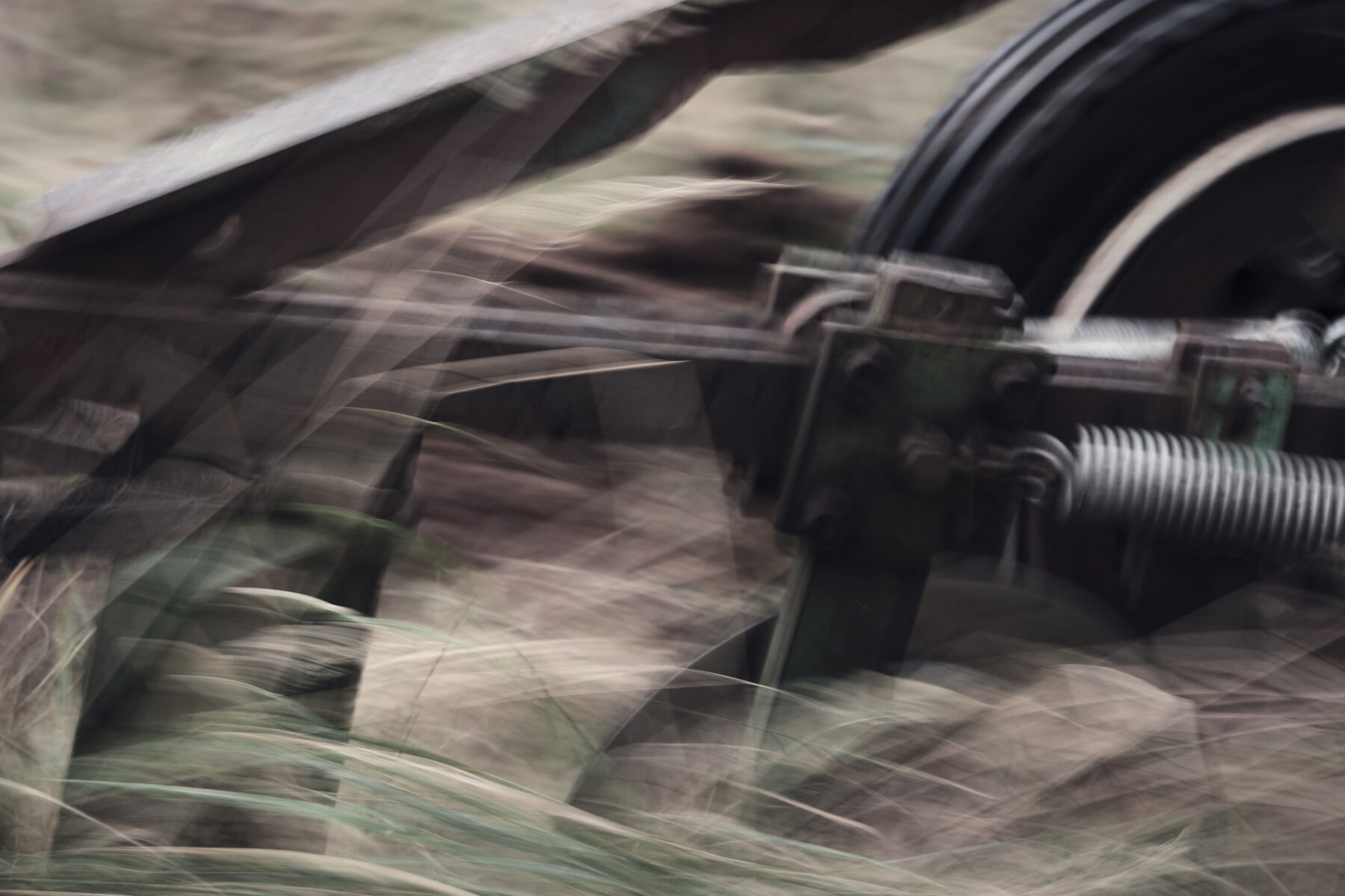 Photography. Forest regeneration. Plowing the woods.